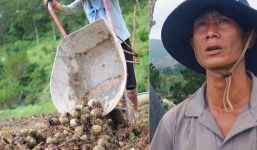 Nông dân khốn khổ vì nông sản Trung Quốc nhái hàng Đà Lạt: '3 tháng trồng khoai không bán được đồng nào, chỉ biết khóc...'