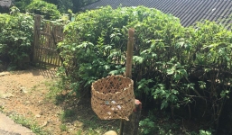 Góc ý thức: Cả một con đường sạch bong ở Lai Châu, nhà nào cũng có một sọt rác xinh xinh treo ngoài cổng