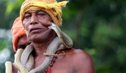 7 ngày qua ảnh: Người huấn luyện chụp ảnh với rắn cắn vào mặt