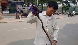 Chuyên gia lý giải nguyên nhân rắn 'thi nhau xuất hiện' ở khu đô thị Linh Đàm