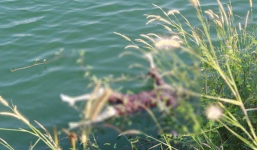 Người đàn ông đi câu cá tử vong bất thường dưới hồ nước, chiếc xe máy biến mất