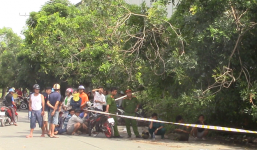 Hoảng hốt phát hiện người đàn ông tử vong bên gốc cây