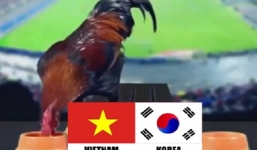 Hàng loạt 'nhà tiên tri' chọn Olympic Việt Nam thắng Hàn Quốc