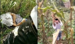 Thi thể không toàn vẹn của bé gái 8 tuổi được phát hiện trong rừng tre, cảnh sát nghi ngờ hung thủ chính là mẹ kế