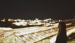 Đà Lạt 'nóng' lên vì nhà kính: Những mảng xanh bị lấp, hàng loạt vườn tược ngập úng khiến người dân khổ sở