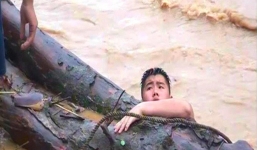 Người dân Nghệ An vớt được cây gỗ samu dầu có giá hàng trăm triệu đồng gây xôn xao