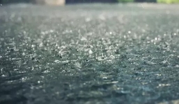 Lý giải cho 'mùi của mưa' - mùi hương kỳ lạ mà chúng ta ngửi thấy mỗi khi trời mưa