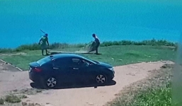 Hai thanh niên đi ô tô trộm cỏ trên núi Sơn Trà lén lút mang trả lại