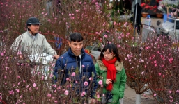 Tết Dương lịch, Âm lịch 2019 được nghỉ mấy ngày?