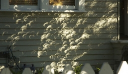 Chùm ảnh: Khi những chiếc bóng vô tình tạo ra những hình ảnh khó mà tưởng tượng được