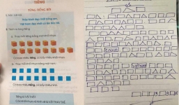 Học sinh 'đọc chữ ô vuông, tam giác': GS Nguyễn Lân Dũng nói có sự logic về mặt sư phạm