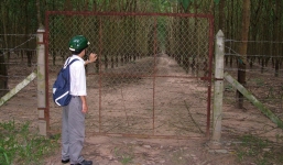 Truy tố cựu Giám đốc Sở Địa chính Bình Dương 'dính chàm' trong vụ bán 658 ha đất cao su