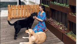 Tăng Thanh Hà khoe ảnh thảnh thơi bên vườn rau và cún cưng mà cư dân mạng lại quan tâm điều này