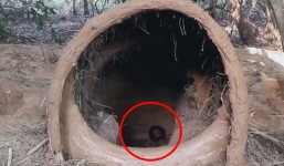 Không bõ công cả ngày đào đất, 2 anh em này thu được thành quả đáng khâm phục