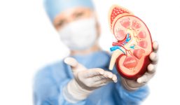 7 hành vi gây tổn thương thận nặng nề nhất: Chỉ làm 1 việc lâu dài thận cũng có thể 'hỏng'