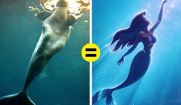 6 câu hỏi ai cũng thắc mắc nhưng quá 'lười' để tìm đáp án, và những câu trả lời sẽ khiến bạn bất ngờ