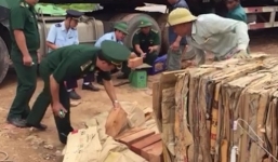 Quảng Trị: Hơn nghìn thanh gỗ quý ngụy trang trong lô hàng phế liệu