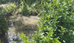 Bơm nước cứu ruộng cỏ, nam thanh niên bị điện giật tử vong