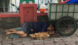 Nghẹn ngào hình ảnh chú chó nằm ngủ ngon lành bên người chủ nghèo trên vỉa hè sau những giờ mưu sinh vất vả