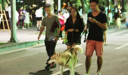 Chó, mèo sắp bị cấm mang vào phố đi bộ hồ Gươm