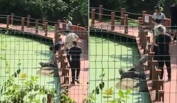 Hy hữu: Say rượu, du khác vào khu bảo tồn để giẫm cá sấu