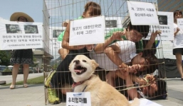 Vào tù bóc lịch nếu ăn thịt chó ở những quốc gia này