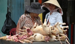 Người Hà Nội nói về việc thành phố muốn người dân từ bỏ thói quen ăn thịt chó: 'Yêu và ăn là 2 chuyện khác nhau'