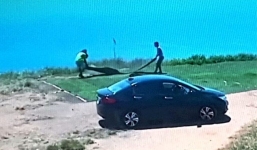 Hai thanh niên trộm cỏ trên bán đảo Sơn Trà: Trải thảm đi dã ngoại