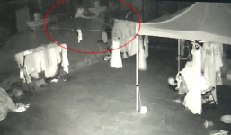 3 năm lấy trộm 81 chiếc váy cưới để có cảm giác đang tổ chức hôn lễ