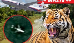 Hổ dữ chặn đường nhóm tìm kiếm MH370