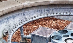 Bỏ lại đống đồng xu trị giá 30 triệu đồng, người nghệ sĩ bất ngờ khi quay lại sau 1 ngày