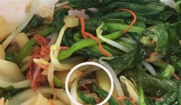 Đang thưởng thức nui xào bò khô ngon lành, cô gái trẻ ngất xỉu vì trông thấy sinh vật lạ lấp ló giống 'thằn lằn con'