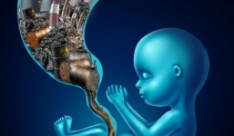 Sốc: Ô nhiễm không khí đã nguy hiểm đến mức bụi bẩn xuất hiện trong nhau thai trẻ sơ sinh