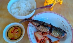 'Nhà có con cọp rồi, cần gì đi đâu!' - Câu nói của mẹ chồng khi con trai rủ cả nhà đi sở thú khiến con dâu không biết đáp sao cho ngầu