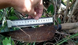 Đi đòi tiền nợ mua ma túy, đâm nhầm người thân của bạn nghiện