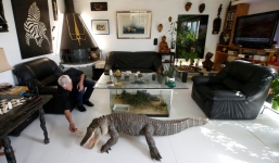 Người đàn ông Pháp chung sống với 400 con động vật bò sát