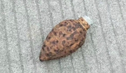 Bà tặng 'quả bóng sắt' cho cháu chơi suốt 3 năm, khi biết chân tướng của nó, cả nhà toát mồ hôi hột không nghĩ mình may mắn đến thế