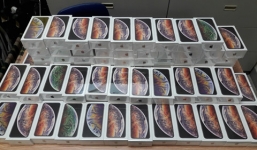 Tạm giữ hơn 250 iPhone XS Max giấu trong hành lý từ Mỹ về TP. HCM