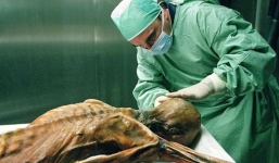 Tiết lộ khó tin về hình xăm cổ nhất thế giới trên xác ướp 5.300 tuổi