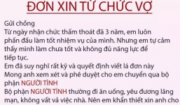 Chị em rộ trào lưu nhắn tin 'từ chức vợ để chuyển sang bộ phận người tình' và đây là phản ứng của các anh chồng