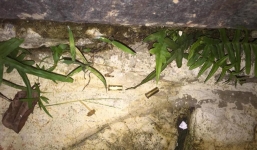 Đại ca giang hồ bị chủ quán cầm đồ bắn chết khi vừa bước xuống ôtô ở Hà Tĩnh