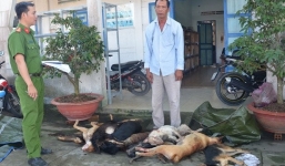 Bắt quả tang người đàn ông chở 11 xác chó lúc rạng sáng