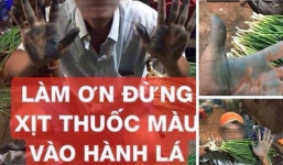 Tràn lan trên MXH thông tin xịt thuốc tạo màu vào hành lá khiến người tiêu dùng khiếp sợ: Chuyên gia chỉ ra thực hư của việc này