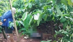 Hoảng hốt phát hiện người đàn ông tử vong bất thường dưới gốc cà phê