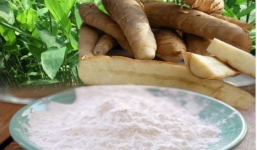Bột của một loại củ dân dã ở Việt Nam đang được khuyên dùng cho căn bệnh toàn cầu mới
