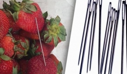 Úc: Bắt giữ một thủ phạm nhét kim vào dâu tây, hóa ra là một cậu trẻ con thích đùa