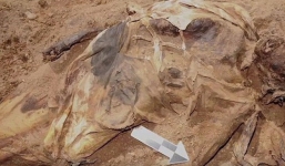 Danh tính bí ẩn của xác chết hơn 150 năm tuổi trong quan tài sắt được hé lộ