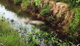 Tá hỏa phát hiện thi thể thanh niên xăm trổ nghi bị sát hại, vứt xác dưới kênh