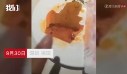 Phát hiện băng vệ sinh trong nồi lẩu của chuỗi cửa hàng nổi tiếng Haidilao, khách hàng đòi bồi thường 3,5 tỉ