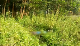 Thanh Hóa: Tá hỏa phát hiện thi thể người đàn ông phân hủy trong bụi cỏ